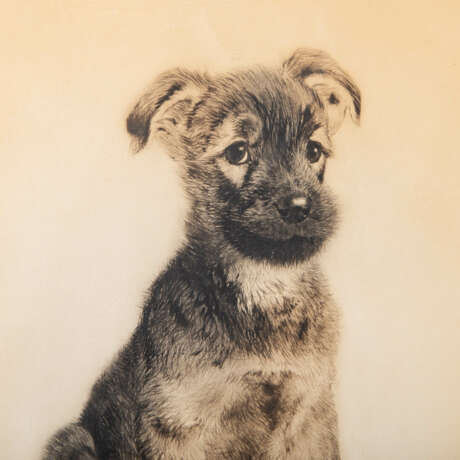 MEYER-EBERHARDT, KURT (also Curt, 1895-1977), 3 etchings: Young animals, - photo 6