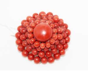 Brooch with corals