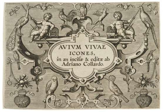Avium Vivae Icones in aes (Hollstein 616-647) - photo 1