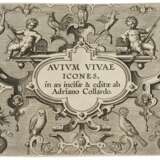 Avium Vivae Icones in aes (Hollstein 616-647) - фото 1