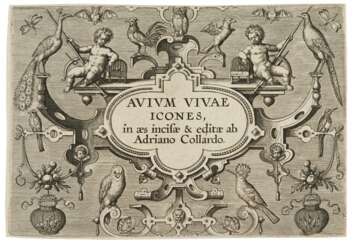 Avium Vivae Icones in aes (Hollstein 616-647)