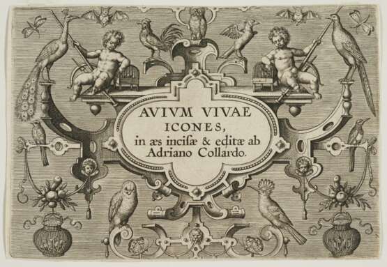Avium Vivae Icones in aes (Hollstein 616-647) - photo 7
