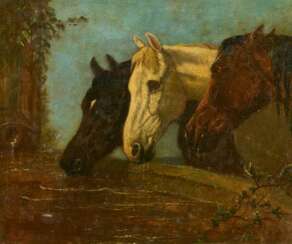 Drei Pferde an der Tränke