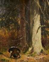 Auerhahn im Wald
