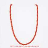 Coral Necklace - photo 1