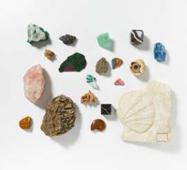 Group of Various Minerals and 3 Fossilizations