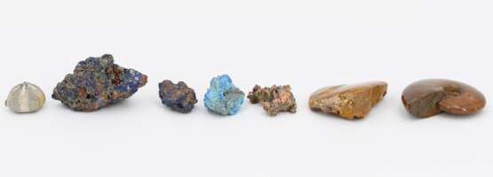 Group of Various Minerals and 3 Fossilizations - Foto 5
