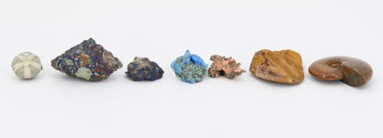 Group of Various Minerals and 3 Fossilizations - photo 7