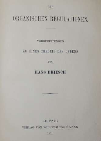 Driesch,H. - фото 1