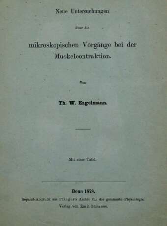 Engelmann,T.W. - фото 2