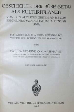 Lippmann,E.O.v. - фото 2