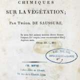 Saussure,N.T.de. - Foto 2