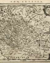 Artemisia comitatus Artois. - Languedoc.