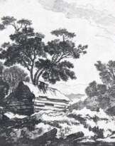 Kölbl, Anton