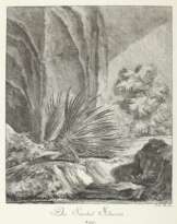Ridinger, Johann Elias