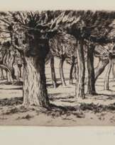 Schaefer, Hans