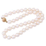 Akoya cultured pearl necklace, - фото 4