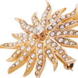 Brooch/pendant with pearls and old cut diamond - Foto 3