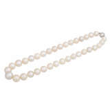 Freshwater pearl necklace, - фото 4