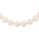 Necklace made of Akoya pearls, - Foto 2
