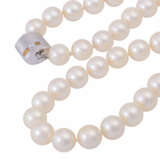 Necklace made of Akoya pearls, - photo 4