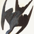 Frigate Pelican - Archives des enchères