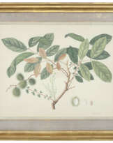 COMPANY SCHOOL, C. 1800