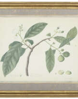 COMPANY SCHOOL, C. 1800