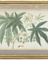 COMPANY SCHOOL, C. 1800