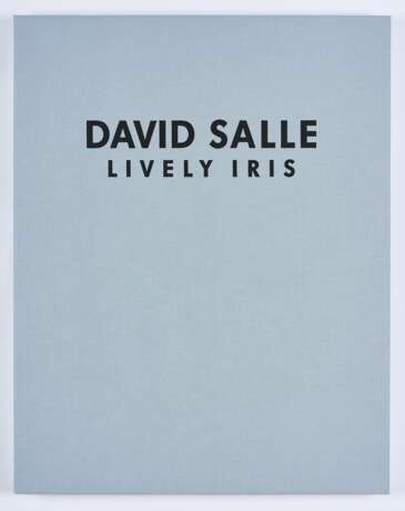 David Salle - photo 8