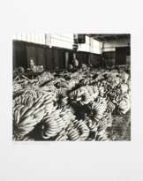 Herbert Dombrowski (Hamburg 1917 - Hamburg 2010). 6 Fotos mit Motiven aus Hamburg.