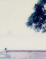 Giovanni Castell (München 1962). Gianella II.