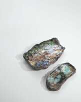 RAPHAËL DE VILLERS (NÉ EN 1969)