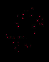 TATSUO MIYAJIMA (B. 1957)