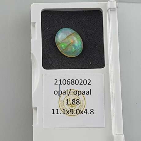 Loser Opal - фото 8