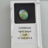 Loser Opal - фото 8