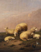 FRANZ VAN SEVERDONCK