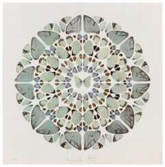DAMIEN HIRST (B. 1965)