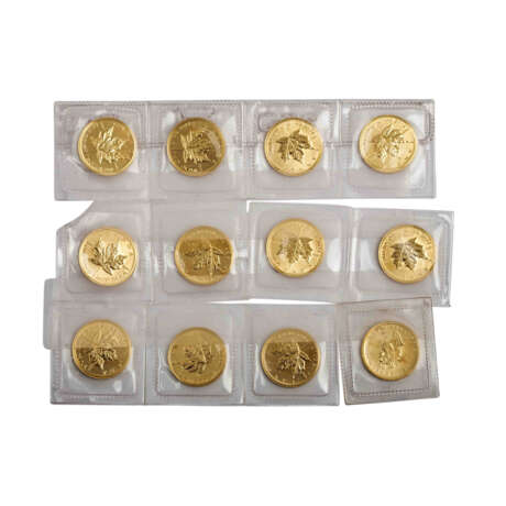 12 x Canada/GOLD - 5 Dollars 2008, Maple Leaf, vz and better, - фото 1