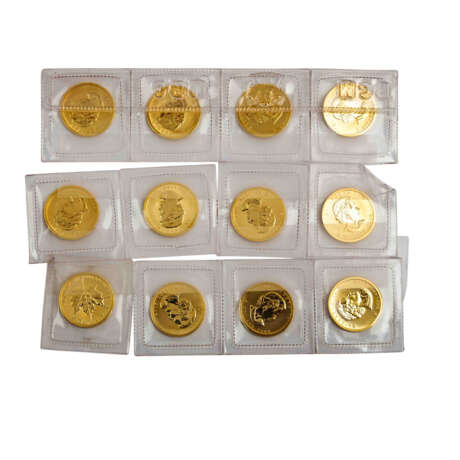 12 x Canada/GOLD - 5 Dollars 2008, Maple Leaf, vz and better, - Foto 2