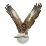 HUTSCHENREUTHER 'Golden eagle', mid 20th c. - Foto 7