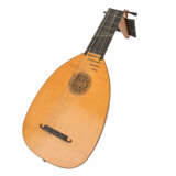 10-VOICE KNICK-NECK LUTE AFTER HANS FREI - photo 1