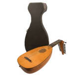 10-VOICE KNICK-NECK LUTE AFTER HANS FREI - фото 8