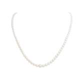 Pearl necklace - Foto 1