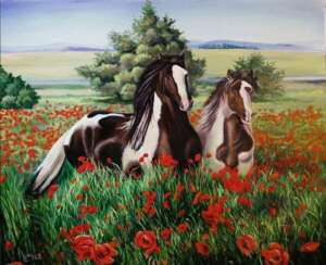 Лошади на маковом поле