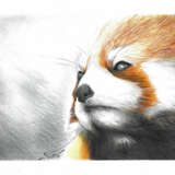 Red Panda Photographic paper Photographic printing Realism Animalistic Ukraine 2021 - photo 1