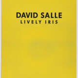 David Salle - фото 9