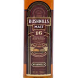 BUSHMILLS MALT Single Irish Malt Whiskey "Aged 16 Years - фото 3