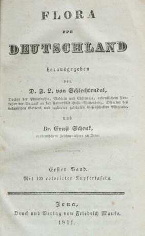 Schlechtendal, Dietrich Franz Leonhard von (Hrsg.) Flora von Deutschland - Foto 4