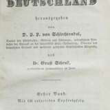 Schlechtendal, Dietrich Franz Leonhard von (Hrsg.) Flora von Deutschland - photo 4